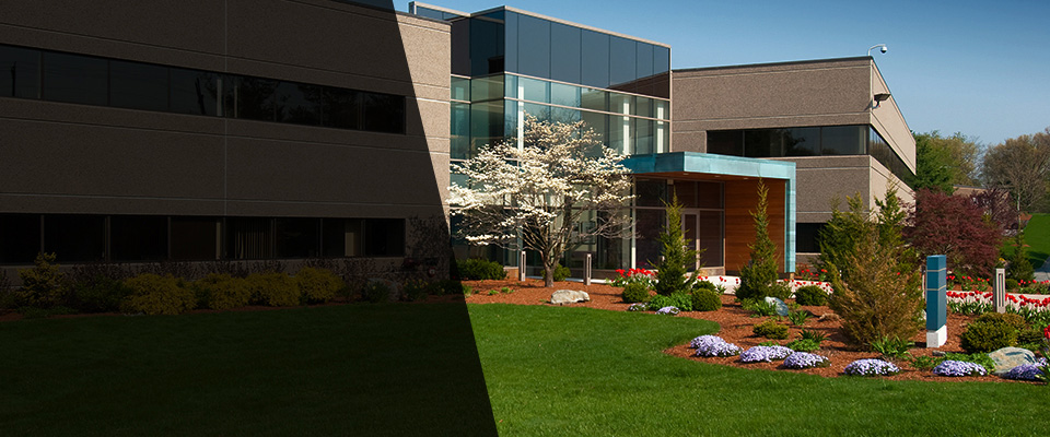 Millerton Landscapers