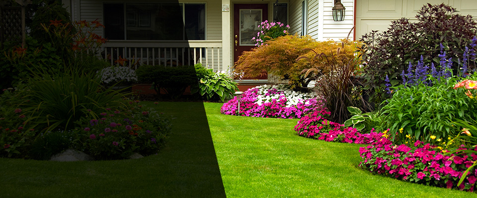 Millerton Landscapers
