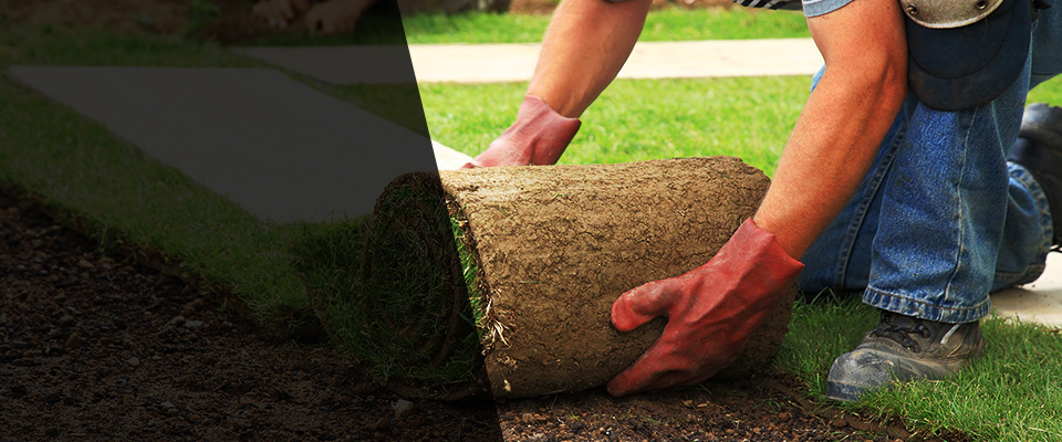 Millerton Landscapers